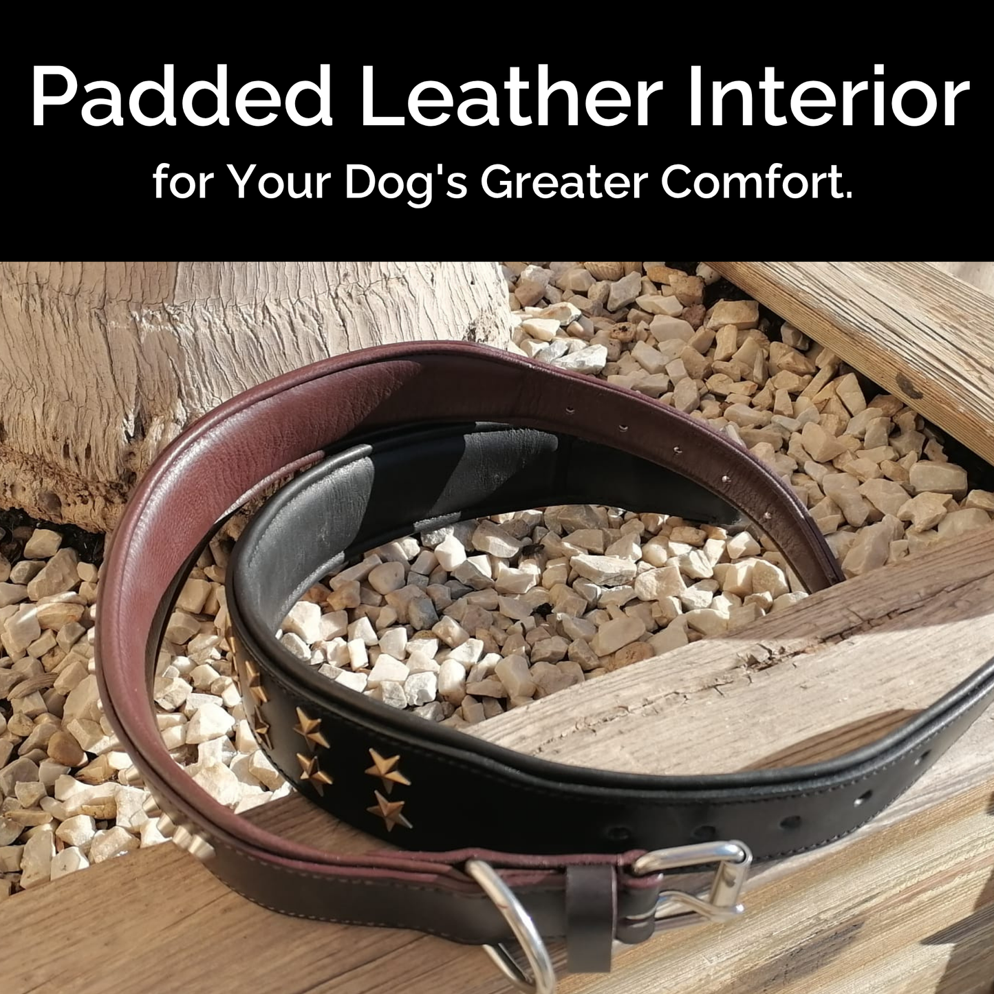 Collar de Cuero Genuino para Perros – Estilo Punk con Tachuelas – Talla XL 5cm Ancho | IULIUS-2