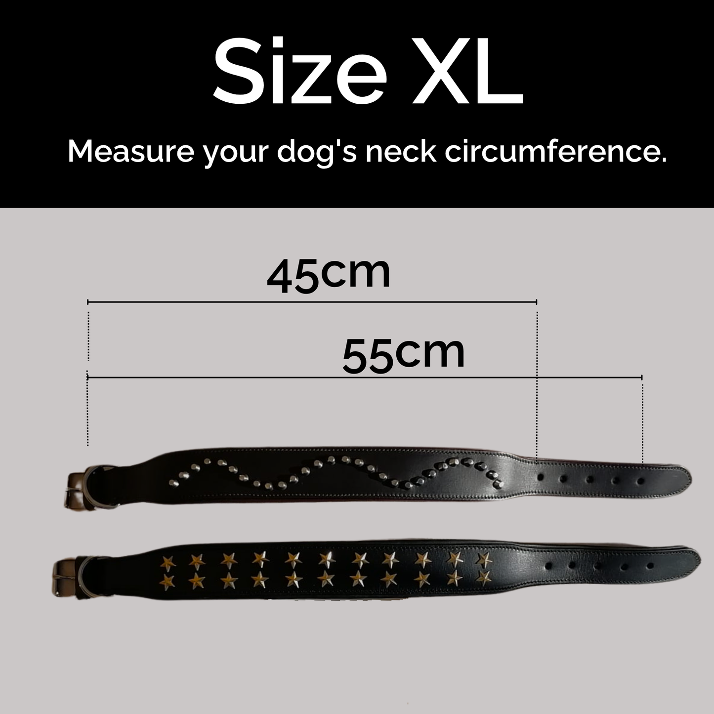 Collar de Cuero Genuino para Perros – Estilo Punk con Tachuelas – Talla XL 5cm Ancho | IULIUS-4