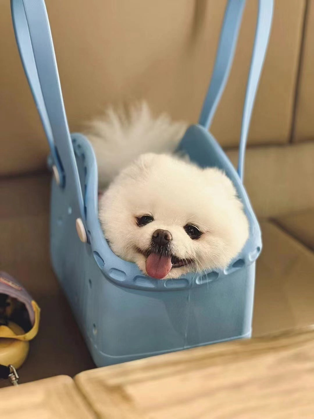 NNEDSZ Green Portable EVA Pet Handbag - DIY Custom Decoration Carrier for Small Pets, Beach, and Outdoor Use (Large Capacity)-4